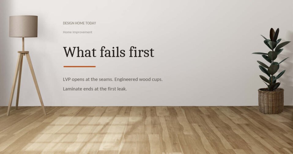 Empty room with light wood plank flooring, a floor lamp and a rubber plant